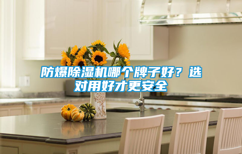 防爆除湿机哪个牌子好？选对用好才更安全