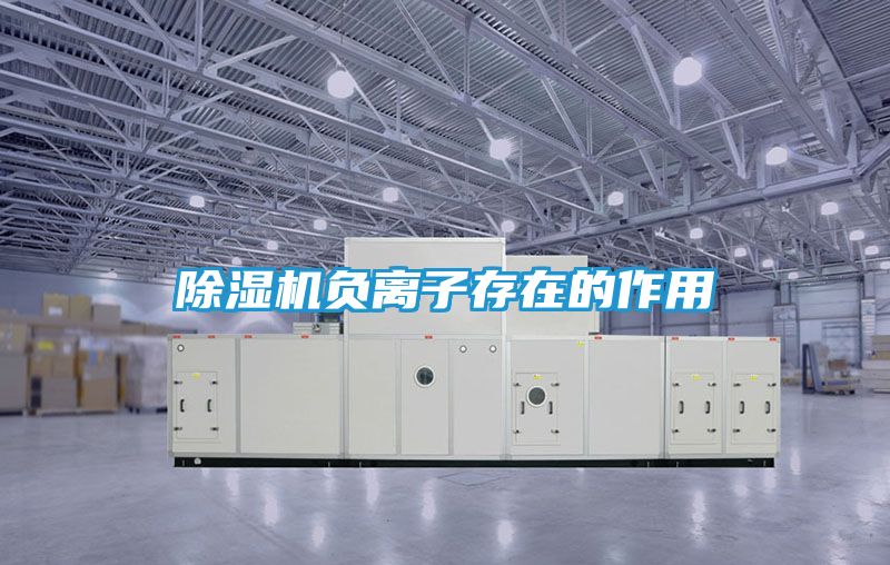 除湿机负离子存在的作用