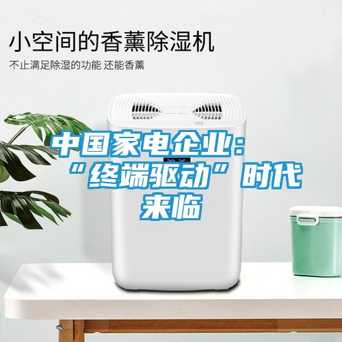 中国家电企业：“终端驱动”时代来临
