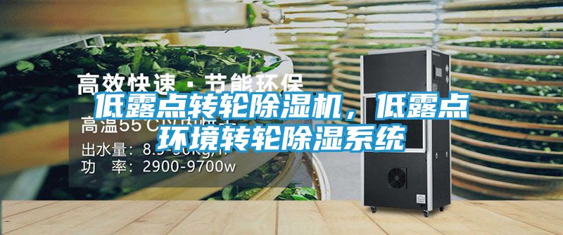 低露点转轮除湿机，低露点环境转轮除湿系统