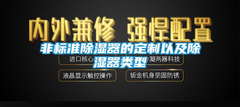 非标准除湿器的定制以及除湿器类型