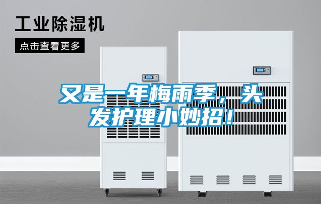 又是一年梅雨季，头发护理小妙招！