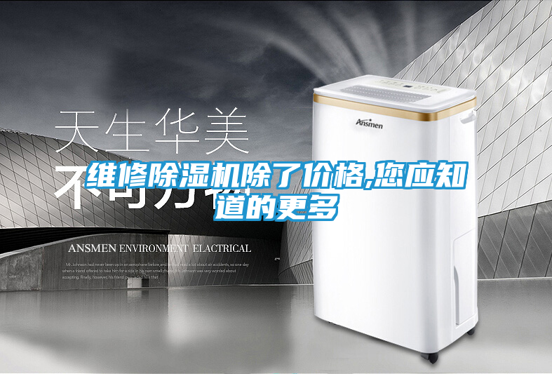 维修除湿机除了价格,您应知道的更多