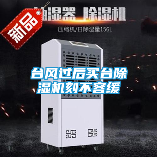 台风过后买台除湿机刻不容缓