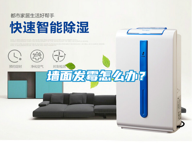 墙面发霉怎么办?