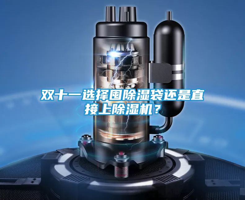 双十一选择囤除湿袋还是直接上除湿机？