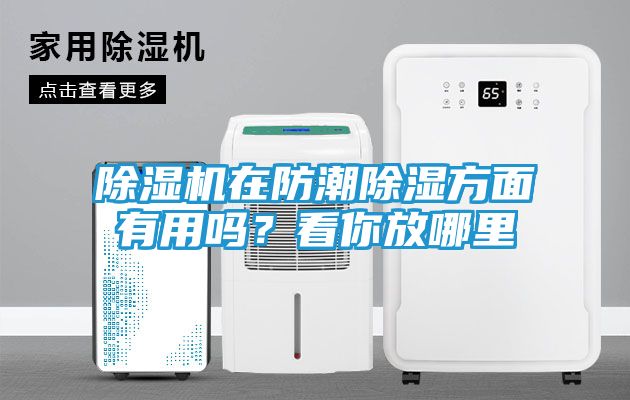 除湿机在防潮除湿方面有用吗？看你放哪里