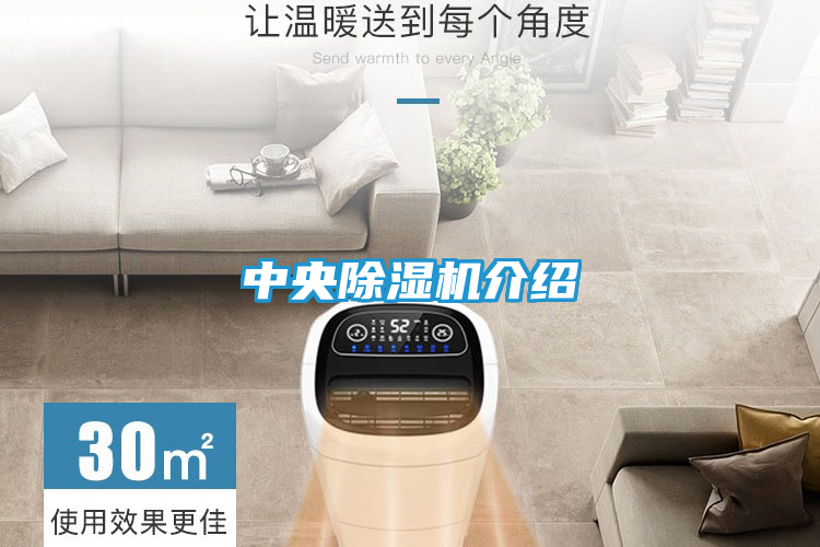 中央除湿机介绍