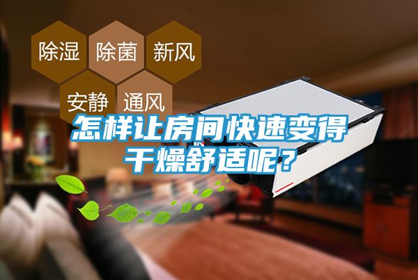 怎样让房间快速变得干燥舒适呢?