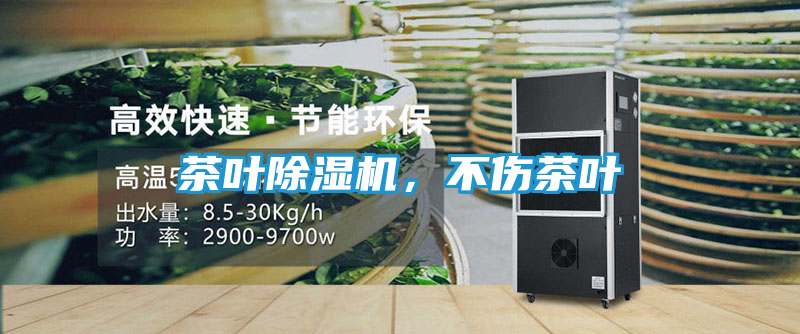 茶叶除湿机，不伤茶叶