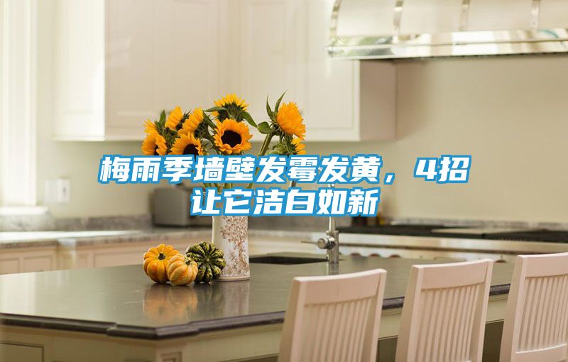 梅雨季墙壁发霉发黄,4招让它洁白如新