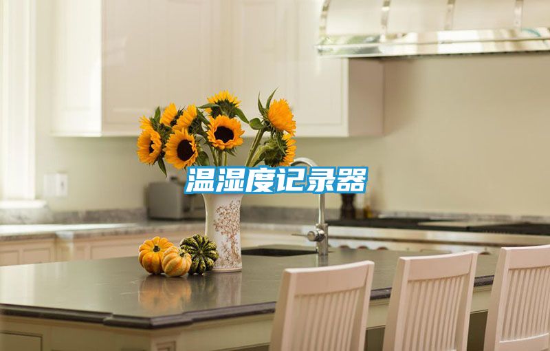 温湿度记录器
