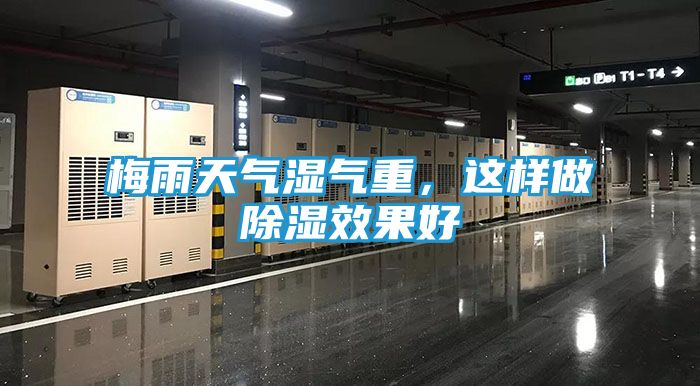 梅雨天气湿气重，这样做除湿效果好