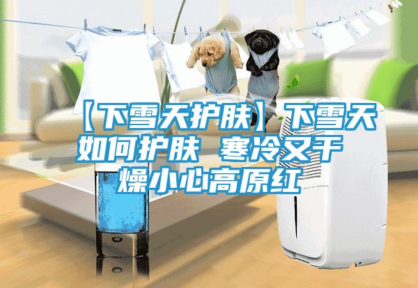 【下雪天护肤】下雪天如何护肤 寒冷又干燥小心高原红