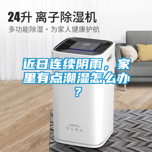 近日连续阴雨，家里有点潮湿怎么办？
