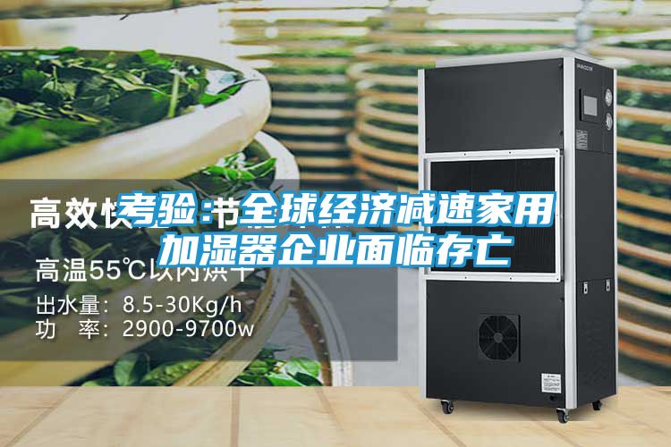 考验：全球经济减速家用加湿器企业面临存亡
