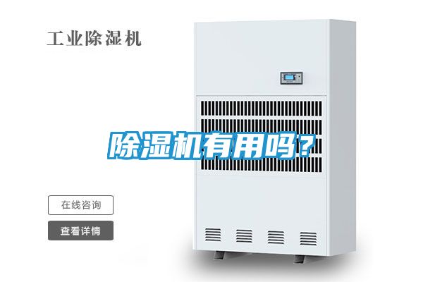 除湿机有用吗?