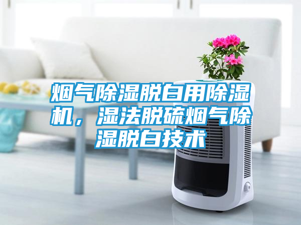 烟气除湿脱白用除湿机，湿法脱硫烟气除湿脱白技术