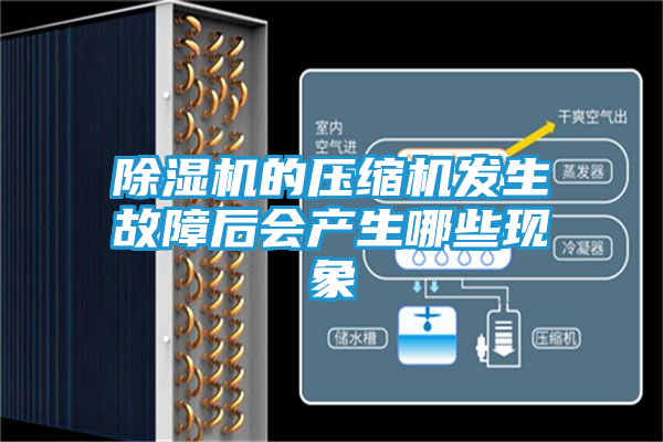 除湿机的压缩机发生故障后会产生哪些现象