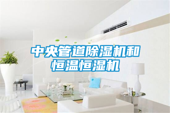 中央管道除湿机和恒温恒湿机