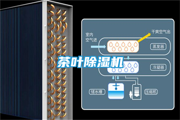茶叶除湿机