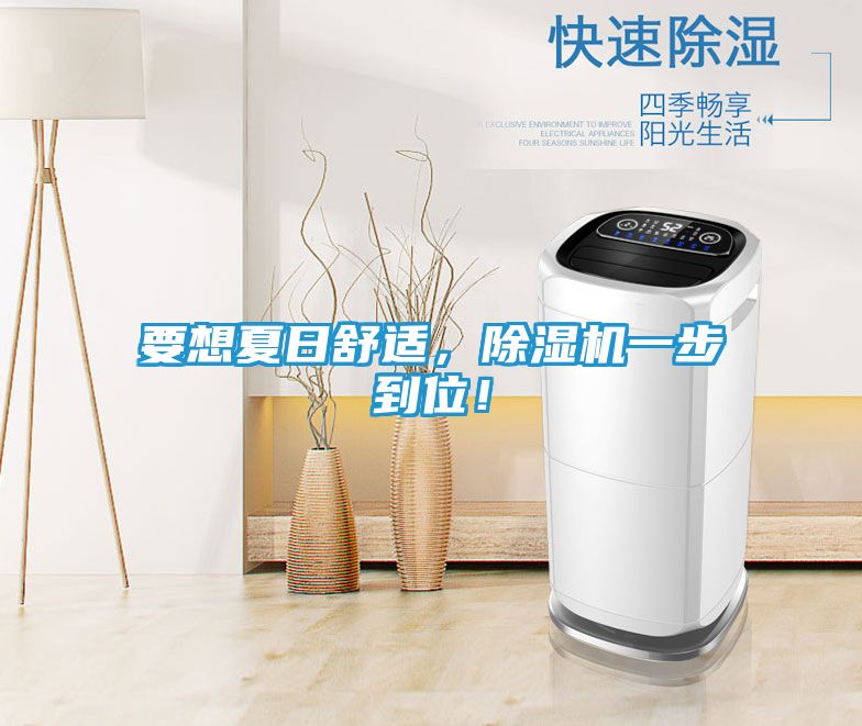要想夏日舒适，除湿机一步到位！