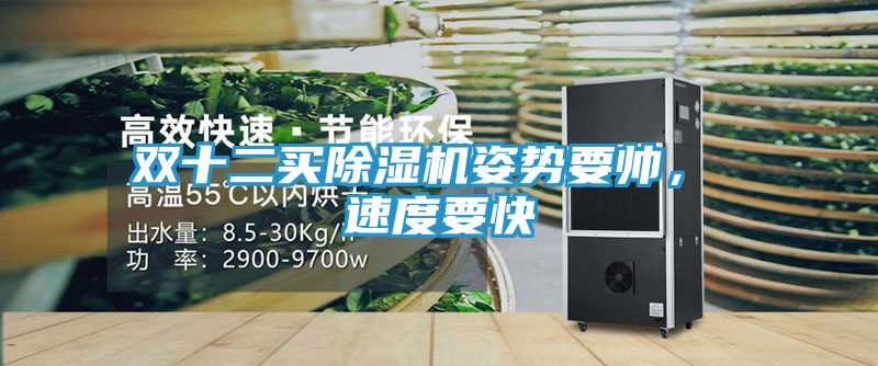 双十二买除湿机姿势要帅， 速度要快