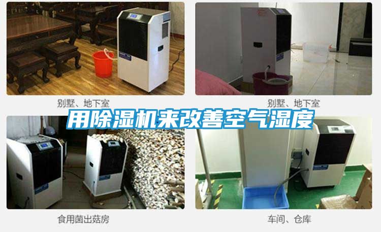 用除湿机来改善空气湿度