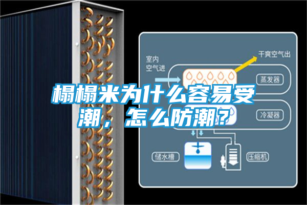 榻榻米为什么容易受潮，怎么防潮？