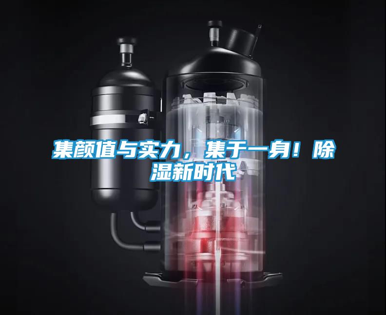 集颜值与实力，集于一身！除湿新时代