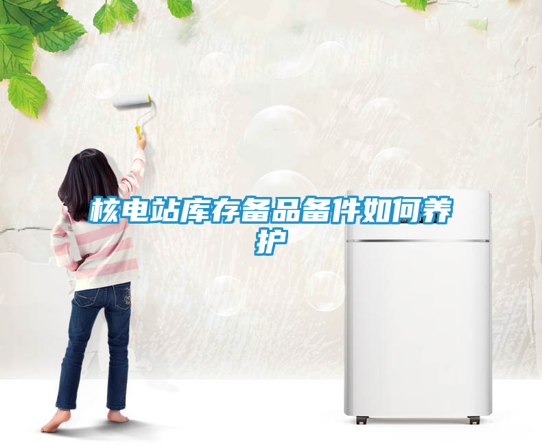 核电站库存备品备件如何养护