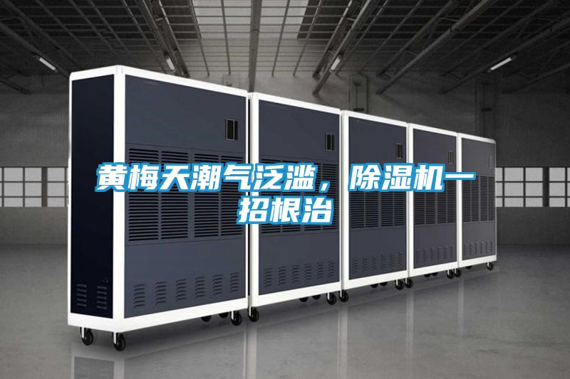 黄梅天潮气泛滥，除湿机一招根治