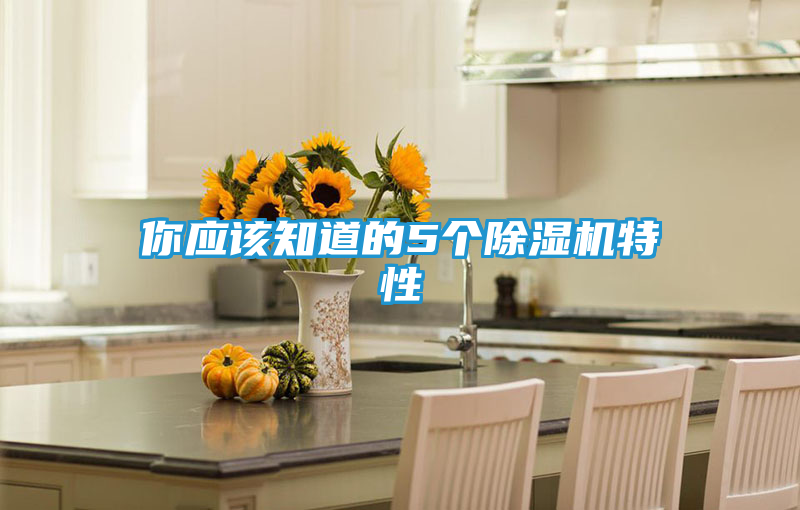 你应该知道的5个除湿机特性