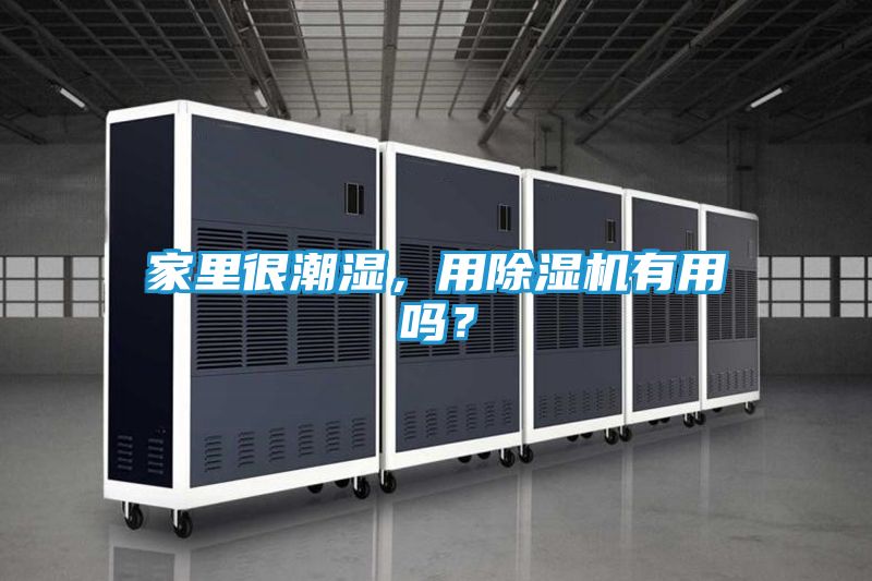 家里很潮湿，用除湿机有用吗？