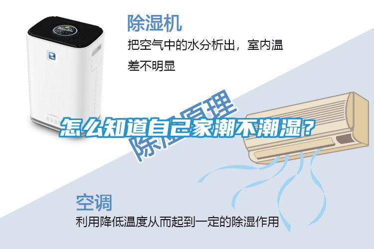 怎么知道自己家潮不潮湿？