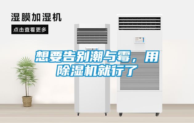 想要告别潮与霉，用除湿机就行了