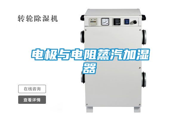 电极与电阻蒸汽加湿器