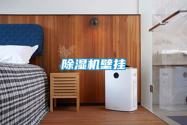 除湿机壁挂