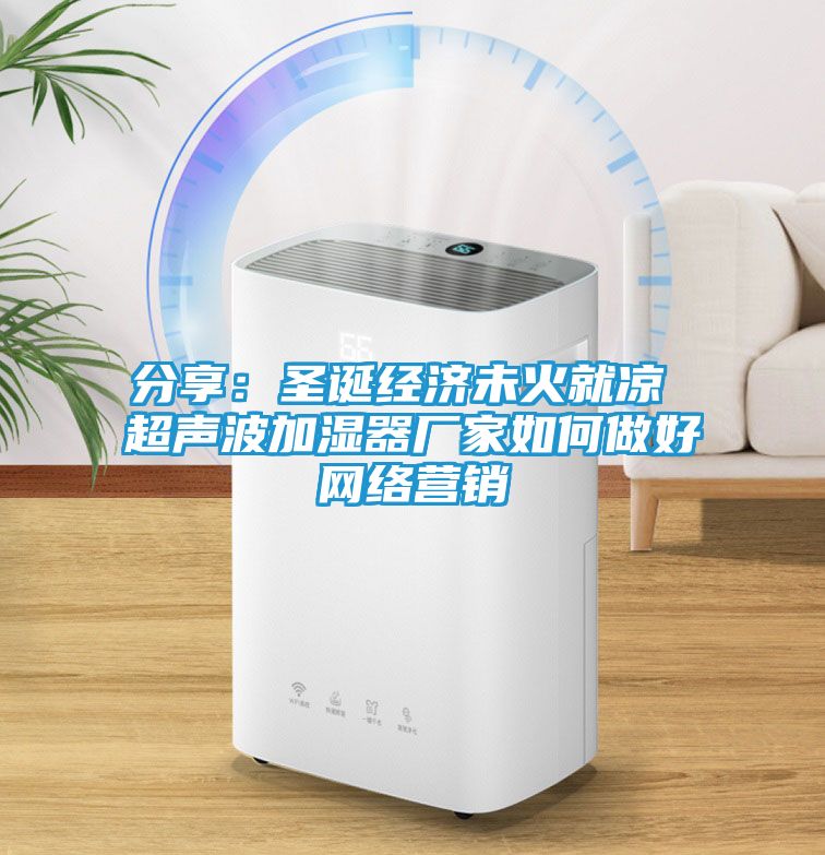分享：圣诞经济未火就凉 超声波加湿器厂家如何做好网络营销