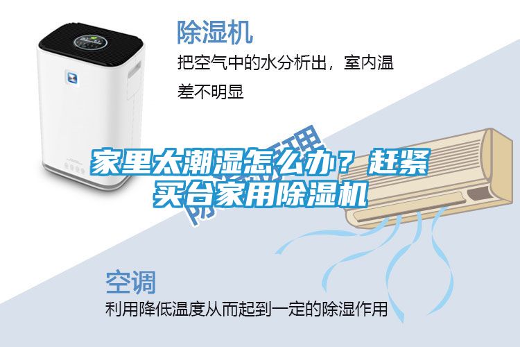 家里太潮湿怎么办？赶紧买台家用除湿机