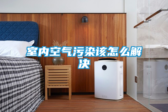 室内空气污染该怎么解决