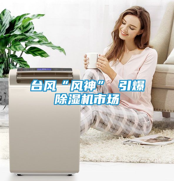 台风“风神” 引爆除湿机市场
