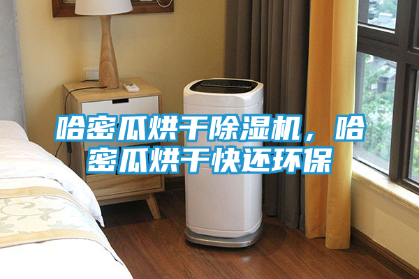 哈密瓜烘干除湿机，哈密瓜烘干快还环保