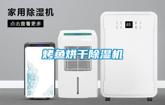 烤鱼烘干除湿机