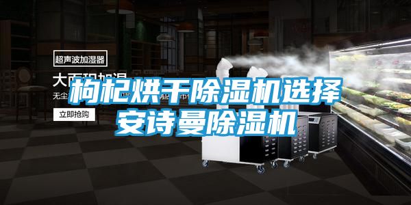 枸杞烘干除湿机选择安诗曼除湿机