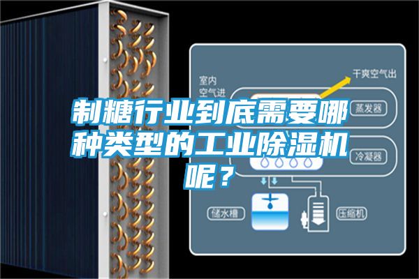 制糖行业到底需要哪种类型的工业除湿机呢?