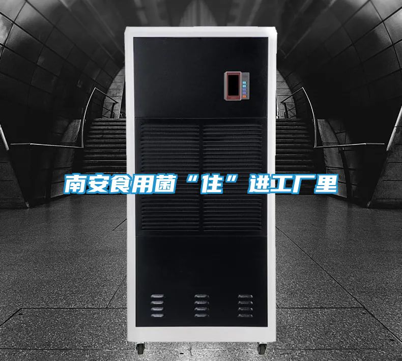 南安食用菌“住”进工厂里