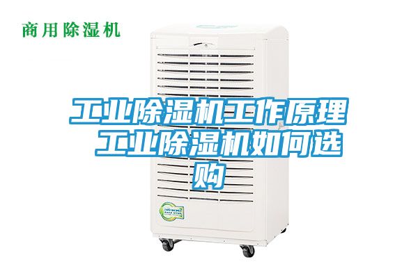 工业除湿机工作原理 工业除湿机如何选购