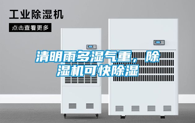 清明雨多湿气重,除湿机可快除湿