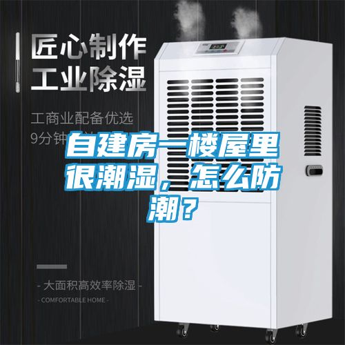 自建房一楼屋里很潮湿，怎么防潮？